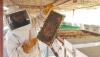 Oman's honey production tops 934,000 kgs in 2025