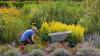 Gardening is linked to a longer life. Here’s how it helps your body.