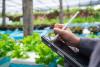 Netherlands Invests in Crop Phenotyping Facility