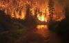 Canadian wildfires are no accident