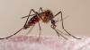 Warning to Brits as paralysing tropical viruses sweep European holiday hotspots – map reveals most at risk