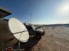 Paratus helps researchers track endangered desert lions