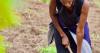Action Against Hunger Statement in Response to the State of Food Security and Nutrition in the World Report