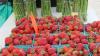 Maryland Governor Wes Moore proclaims July 17-25 as Buy Local Week Gov. Wes Moore has proclaimed July 17-25 as Buy Local Week, encouraging residents to support local farms, seafood producers, and other agricultural businesses b