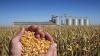 North Dakota corn growers shape national policy priorities