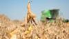 North Dakota Soybean Council welcomes new directors