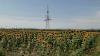Austrian AI tool can help prevent blackouts and power grid disruptions