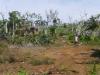 Vanuatu declares first-stage drought alert as dry conditions intensify