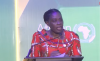 Africa accounts for 95% of global malaria deaths — AU