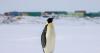 Environmental authorisation for Davis research station infrastructure upgrades 21 July 2026