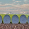 $5.3m partnership between CRDC, GRDC and Qld Government unlocks farming in Queensland’s north and north west