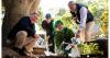 Royal Caribbean readies for Australia’s National Tree Day