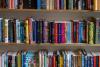 Riding the Wave of Book-to-Screen Adaptations: Are the Books Always Better?