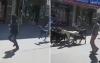 Extremist settlers steal 200 goats from two Palestinian villages – report