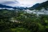 Community-Led Health and Livelihood Programs Helped Protect Rainforests During the Pandemic