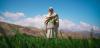 FAO: Afghan Farmers Continue to Face Drought, Water Shortages, and Economic Pressures