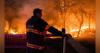 A Major Wildfire is on Horizon, but New Jersey is Not Prepared, Experts Say