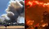 Europe's deadly wildfires: Two French firefighters are killed tackling blaze near Bordeaux airport while inferno breaks out in Sicily as continent braces for 47C heatwave