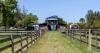 Wake Up to Horses and Farm Views at This Incredible Florida Airbnb
