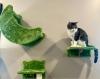 New Marion Cat Cafe to Host Grand Opening This Weekend