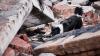 Venezuela rescue dog Tsunami found 26 quake survivors, becoming a symbol of hope in process