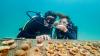 Five ways to save our ocean, according to leading conservationists