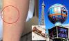 Distraught family say they were savaged by bed bugs while sleeping at Paris Las Vegas hotel... but owner says there was no evidence of the pests