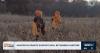 Wisconsin offers up to $75K in grants to recruit new hunters, reactivate former participants