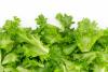 Agriculture Ministry strengthens monitoring of imported produce amid a cyclosporiasis outbreak in the US