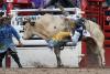 Unofficial Rodeo Results From Cheyenne Frontier Days On July 20