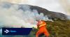Government to consider dedicated aerial service to tackle wildfires