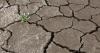 Opinion: Can Utah thrive despite water scarcity? An environmental scientist makes the case for hope