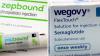 Novo Nordisk sues Eli Lilly over ‘deliberately false’ weight-loss drug ads