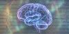 Scientists claim to have found distinct brain activity during “medium” trances