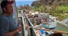 After two typhoons, small business owner rebuilds once again