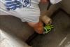 14 sea turtle hatchlings rescued from Florida storm drains