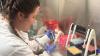 Researchers develop automated system to accelerate outbreak detection and disease surveillance
