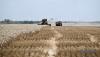 Three Ukrainian regions each harvest more than one million tonnes of grain