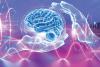Scientists Restore the Sense of Touch With Electrical Brain Stimulation