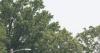 IDEM issues Air Quality Action Day for Monday; Southwest Indiana under Orange alert