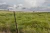 Law professor outlines data center concerns for rural landowners