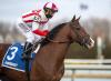 Highly Motivated’s Cha Cha Baby Romps at Delaware