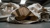 A Danish environmental agency commissioned a study that required 7,100 uses of a single cotton tote bag to break even on environmental cost, and the number buried in that finding rewrites what the grocery-run habit actually costs the earth