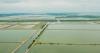 Ecuador: how shrimp farming is destroying mangrove ecosystems