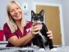 How classical music is helping calm stressed cats at the vet