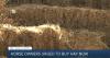 Kentucky horse owners urged to plan ahead as dry conditions reduce hay yields this season