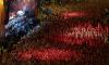 Spain stars lap up adulation