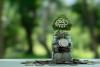 Climate Policy Needs Carbon Pricing, Not Just Green Subsidies