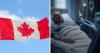 Hundreds of errors in euthanasia in British Columbia require “education” for doctors on criminal law