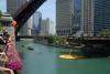 Chicago Ducky Derby